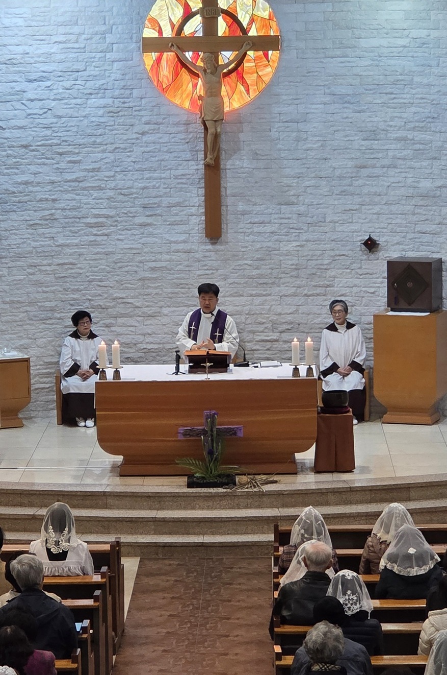 7362ed390d1184cfb03fee646221c0bd_1772280227_7392.jpg 7362ed390d1184cfb03fee646221c0bd_1772280227_7392.jpg